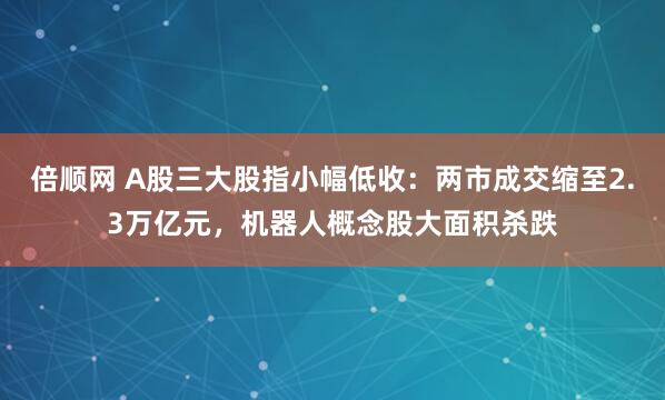 倍顺网 A股三大股指小幅低收：两市成交缩至2.3万亿元，机器人概念股大面积杀跌