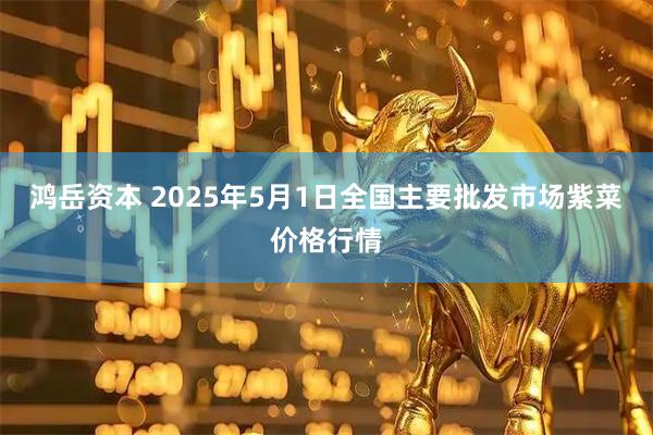 鸿岳资本 2025年5月1日全国主要批发市场紫菜价格行情
