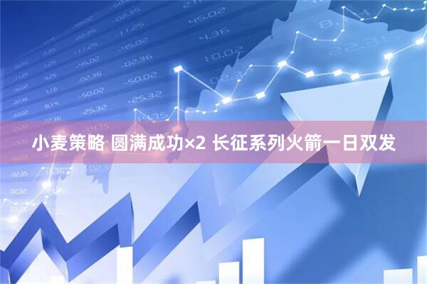 小麦策略 圆满成功×2 长征系列火箭一日双发