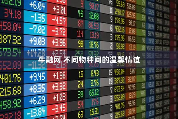 牛融网 不同物种间的温馨情谊