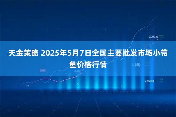 天金策略 2025年5月7日全国主要批发市场小带鱼价格行情