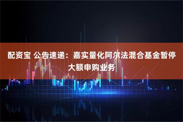 配资宝 公告速递：嘉实量化阿尔法混合基金暂停大额申购业务