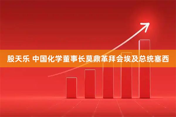 股天乐 中国化学董事长莫鼎革拜会埃及总统塞西